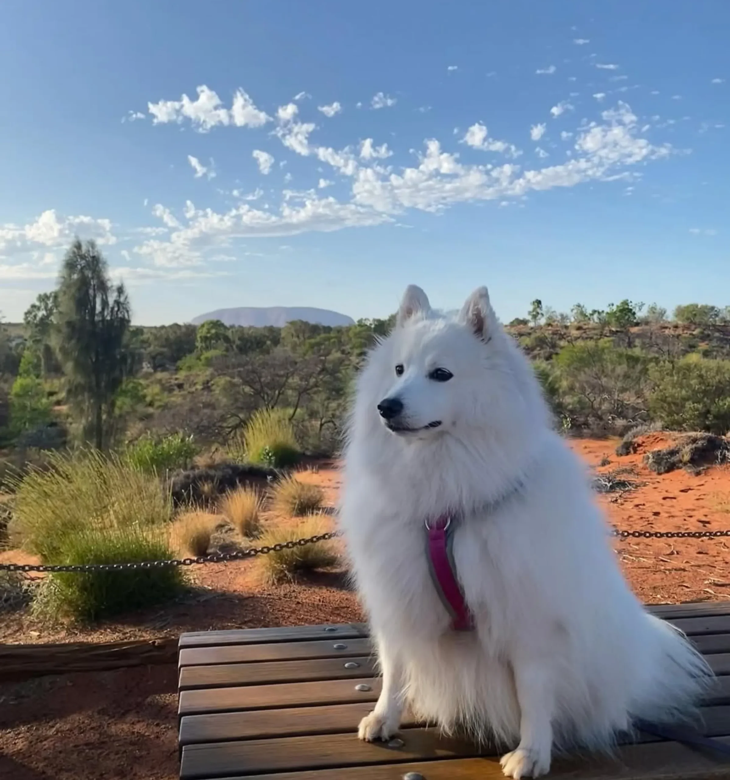 cultural values, Uluru