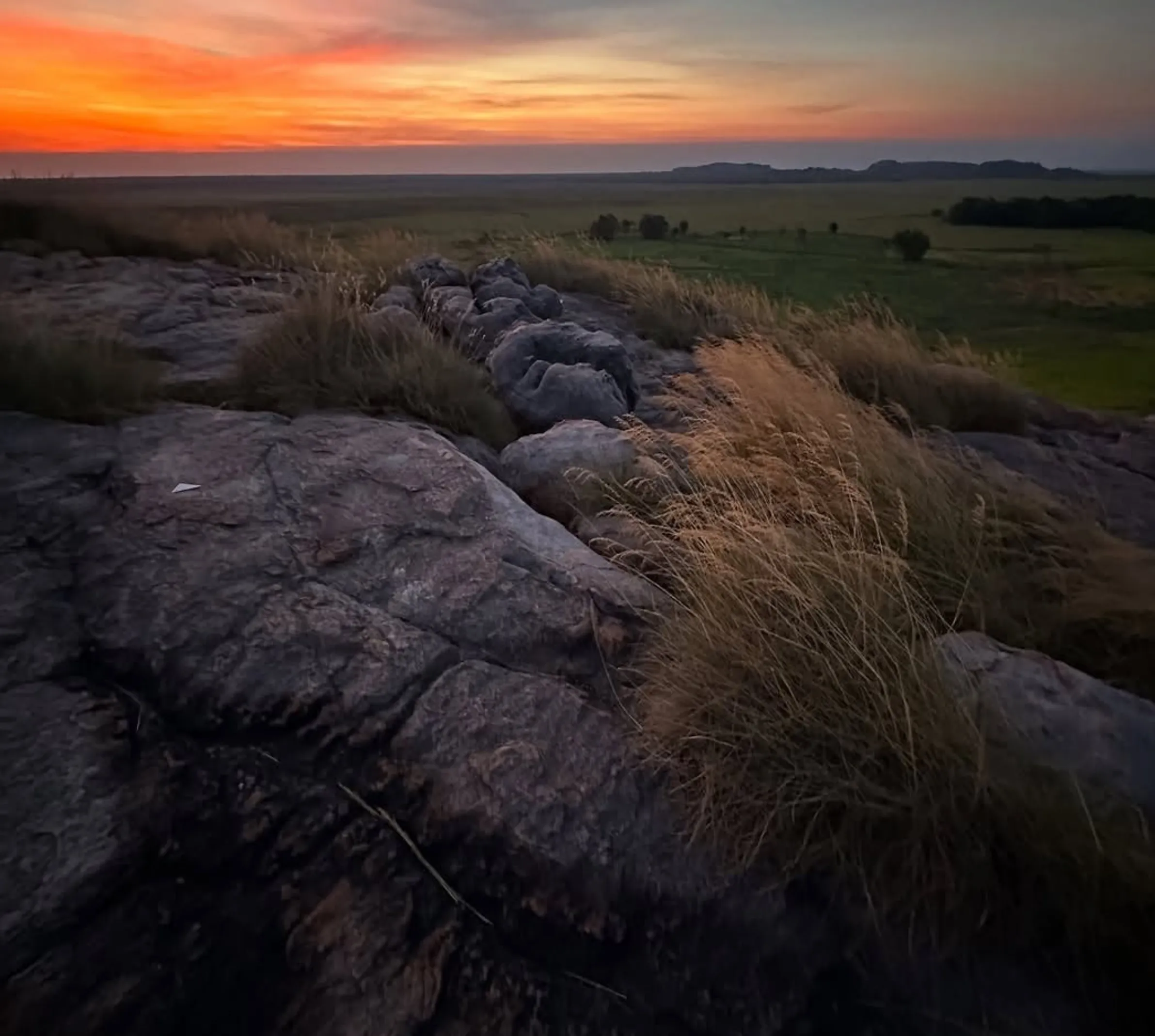 breeding ground, Kakadu