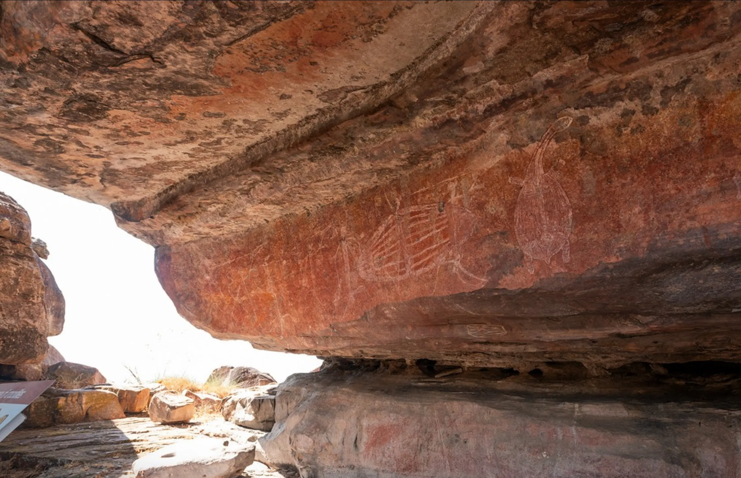 contact art, Kakadu