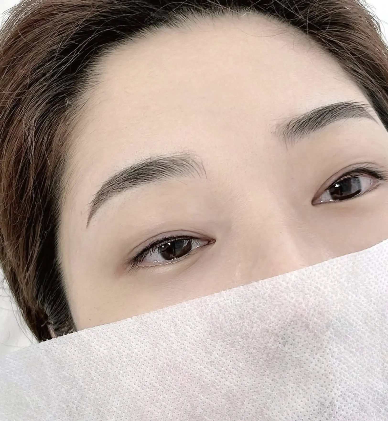 Brisbane brow tattoo and correction