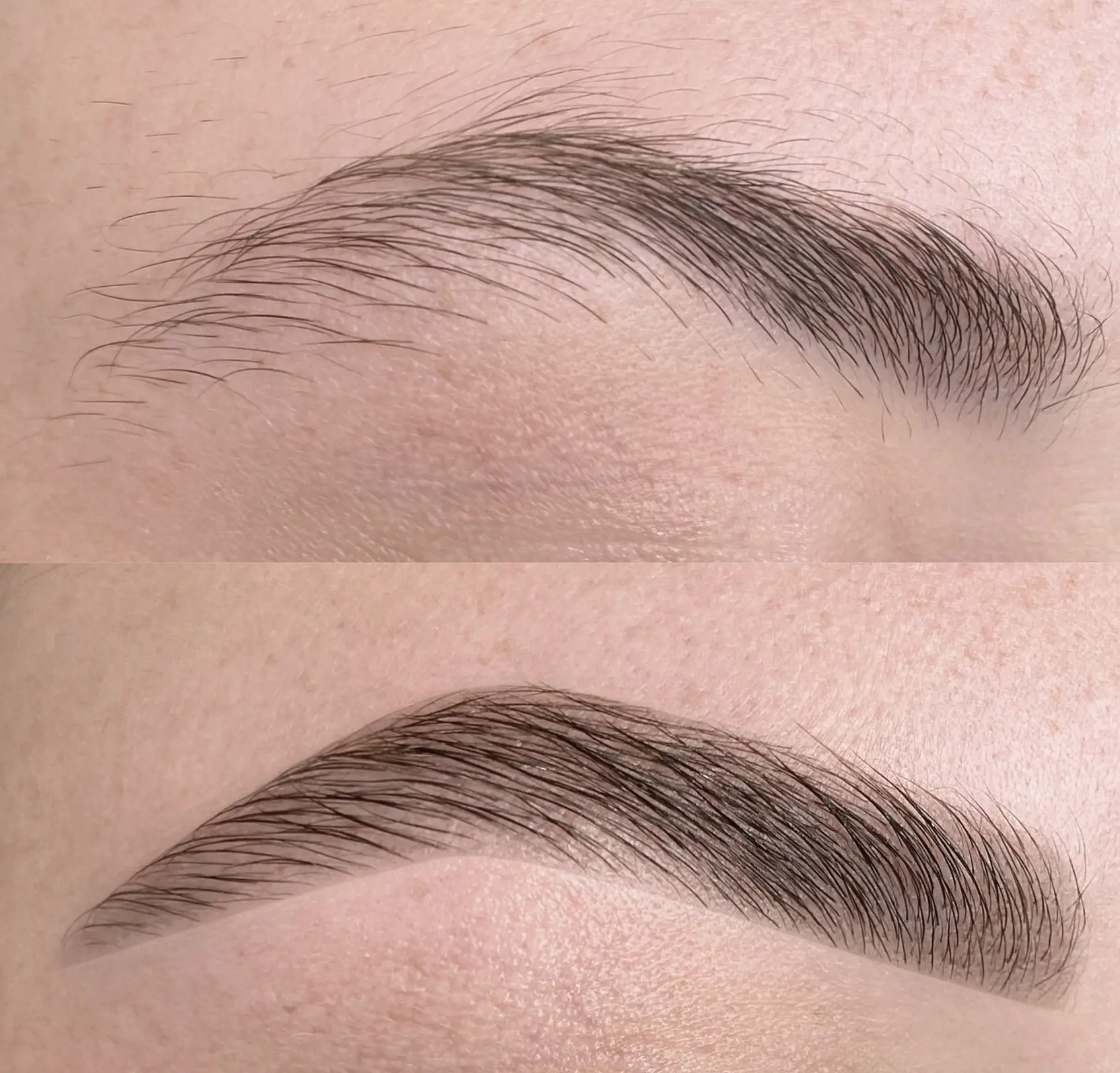 Cosmetic eyebrow tattoo Melbourne