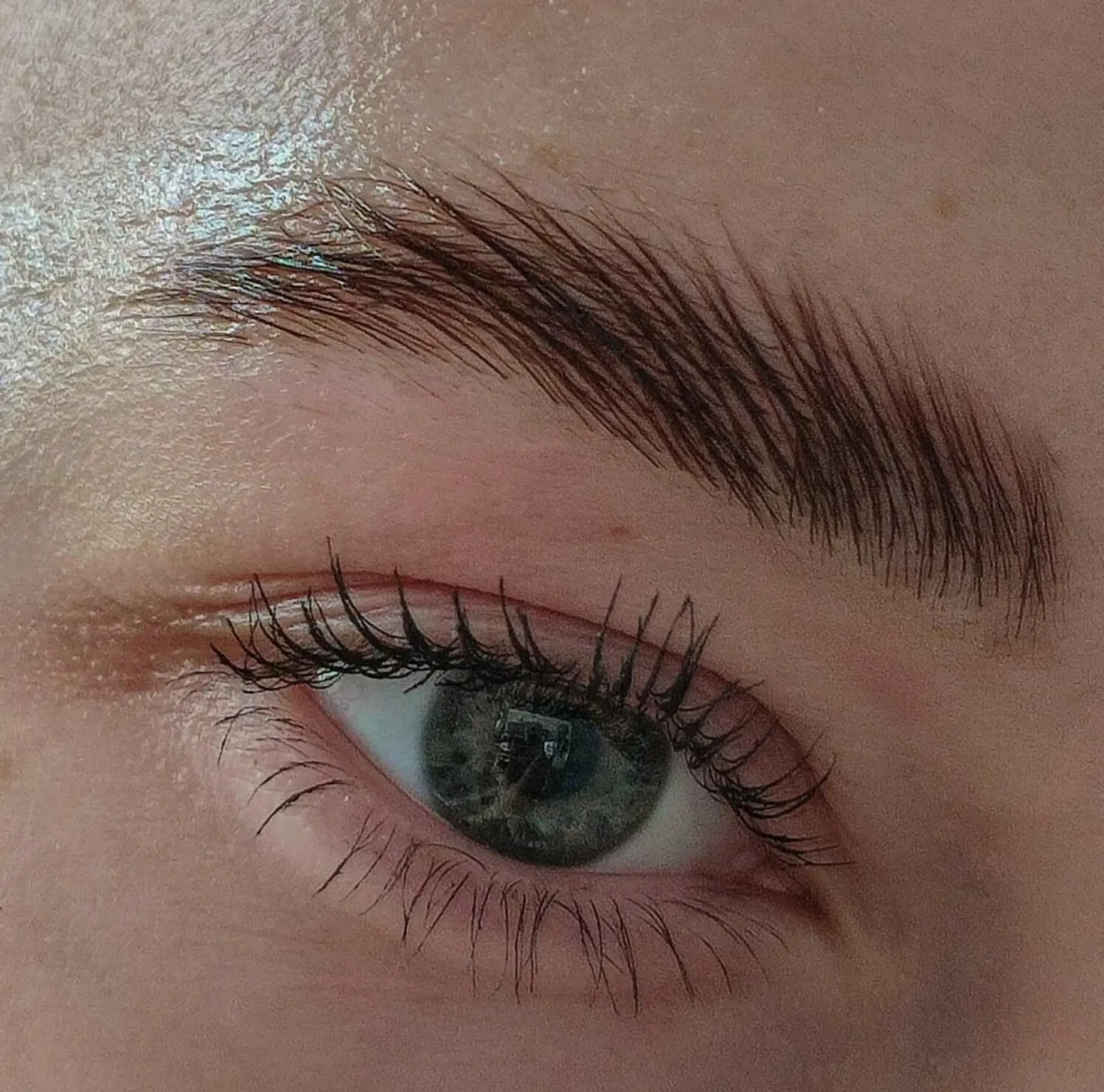 brow lamination package pricing