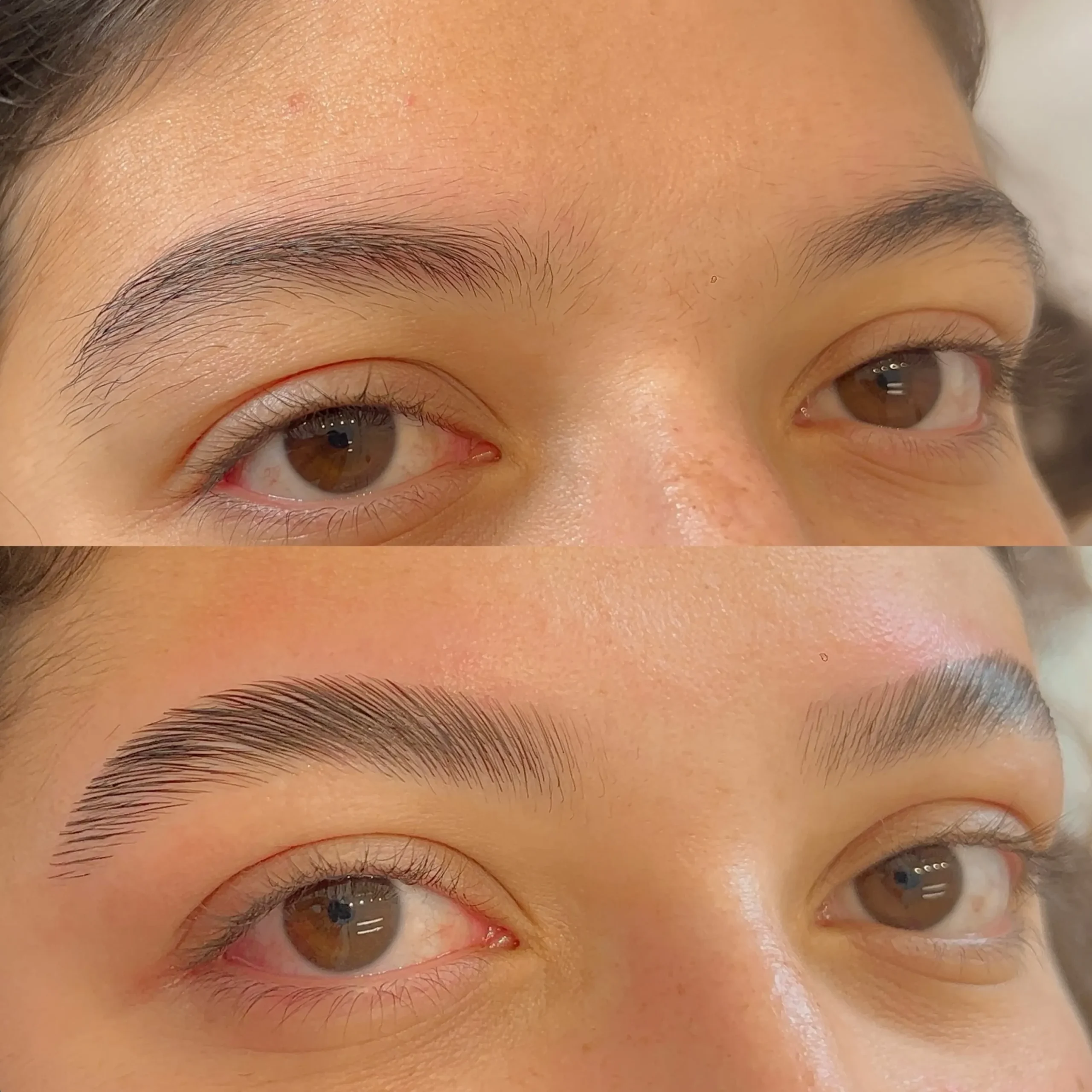 price for brow lamination Brisbane