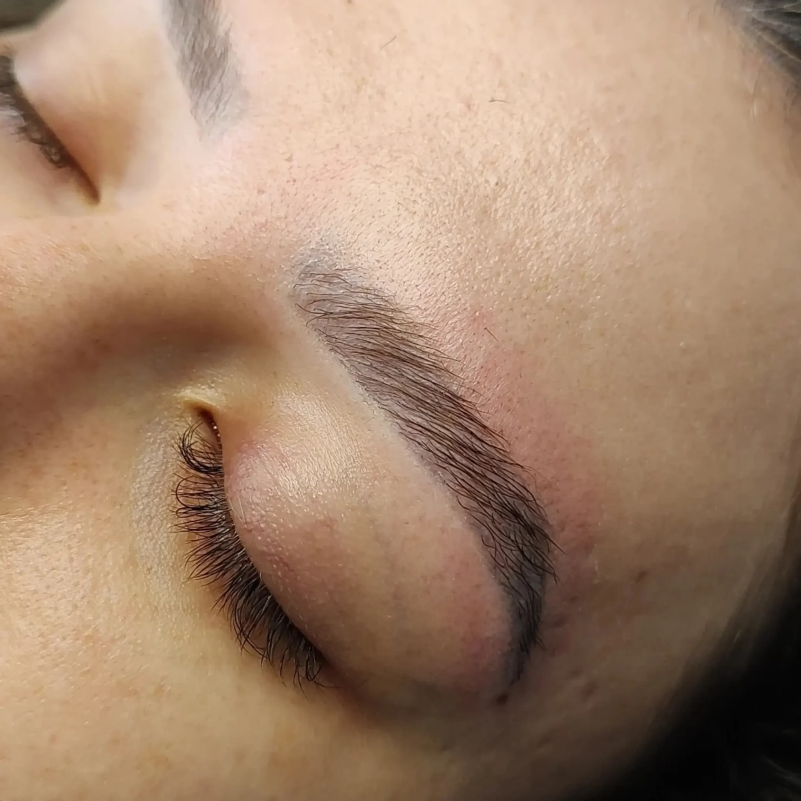 brow lamination cost Australia